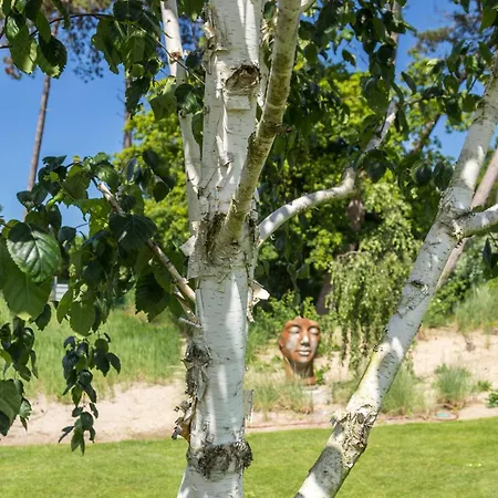 Schmidt - Strandhaus Direkt Am Mit Sauna, Sport Und Dünengarten Ii Rostock